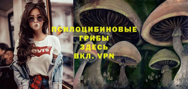 MDMA Армянск